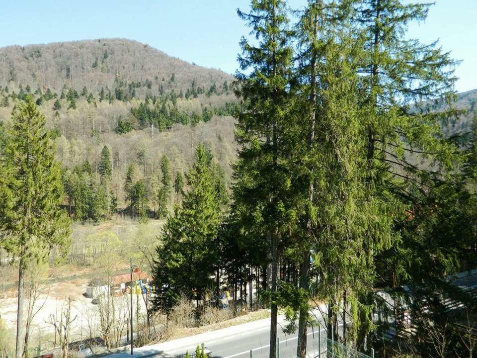 Vila Casa Cristian Sinaia Exteriér fotografie